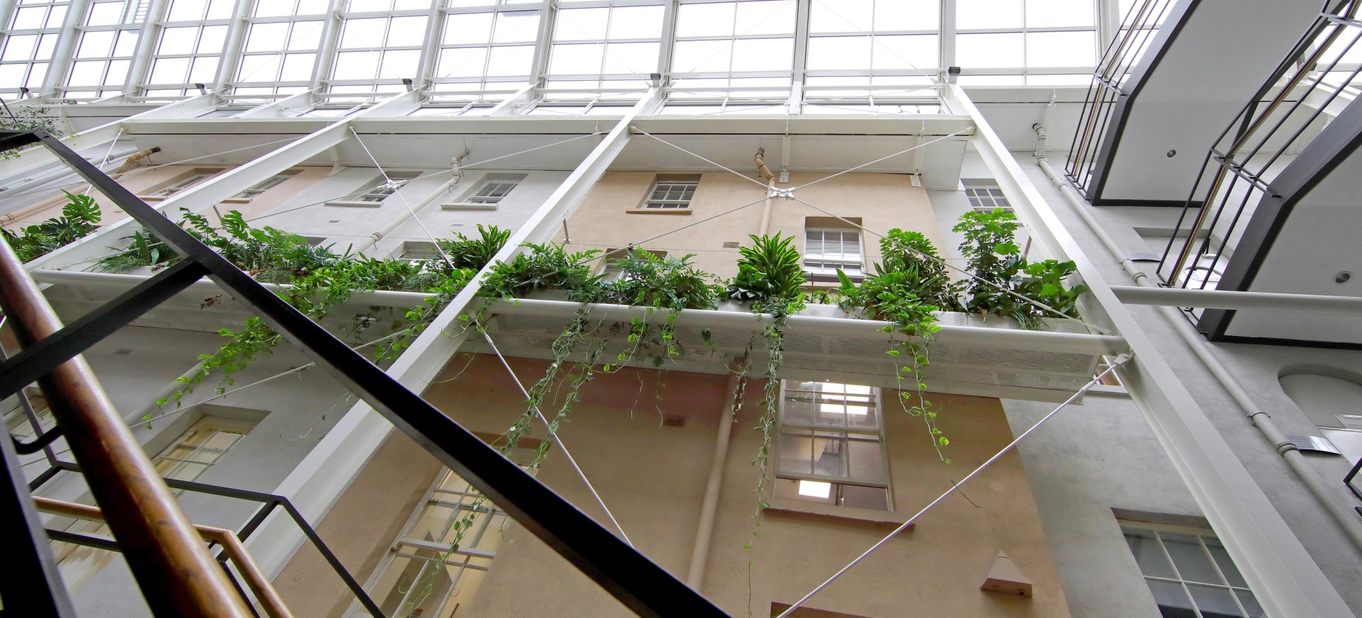 Plants overflowing beautifully on a white railing