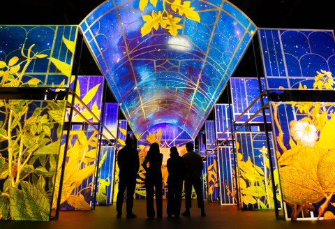 Four people looking at the digital exhibition