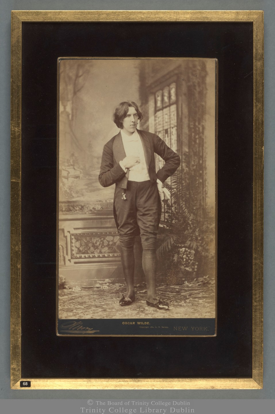 Oscar Wilde portrait