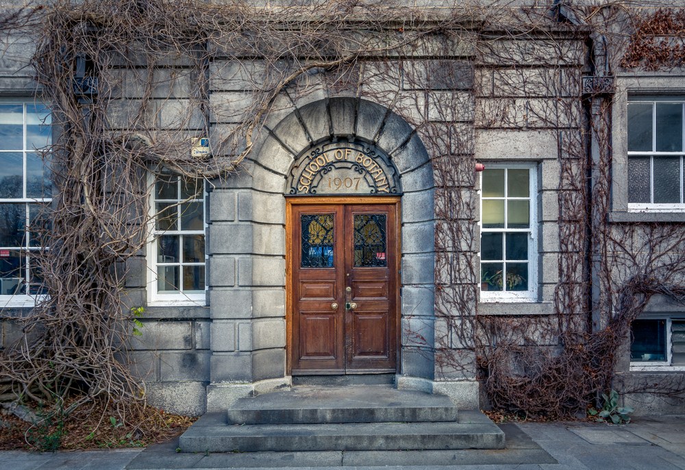 Photo of Trinity Herbarium, School of Botany