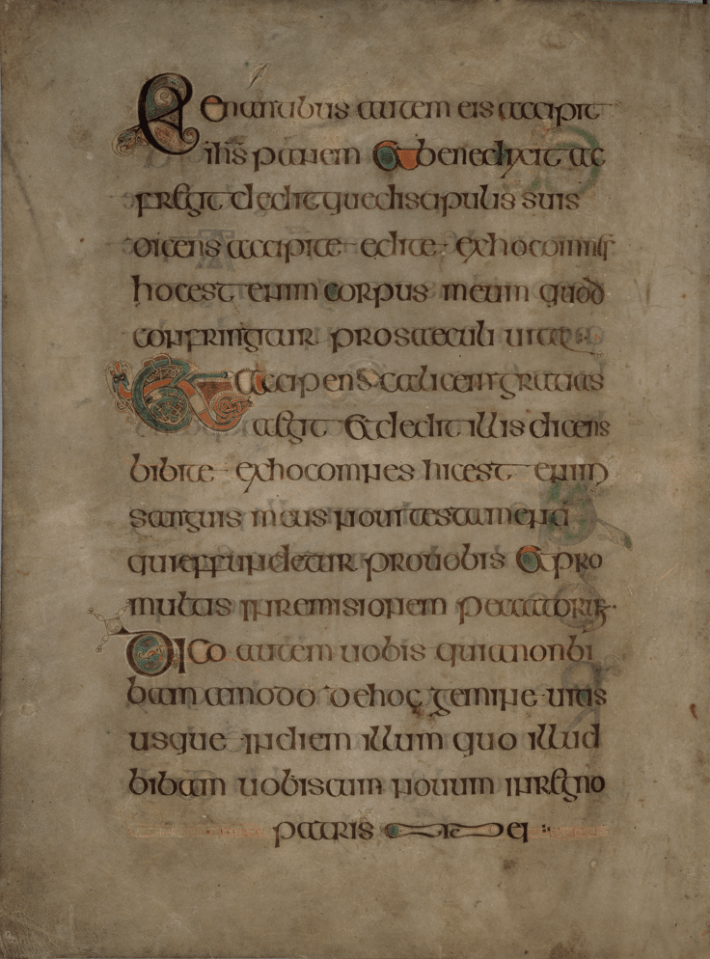 book of kells folio 113v